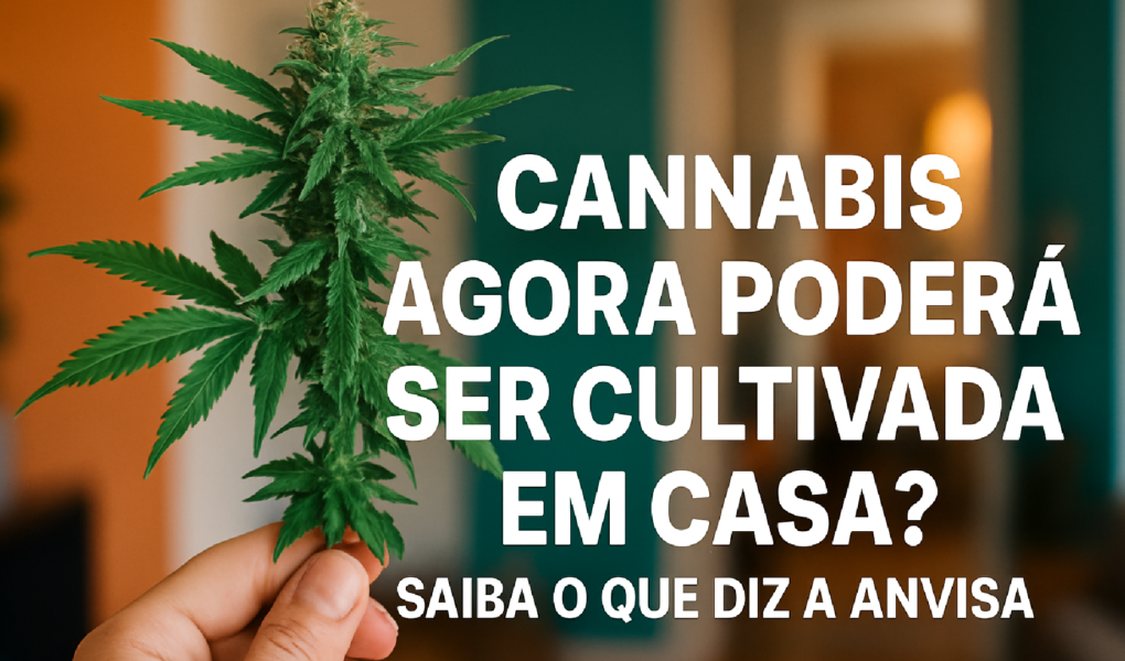 Imagem ilustrativa sobre Cannabis agora poderá ser cultivada em casa? Saiba o que diz a Anvisa