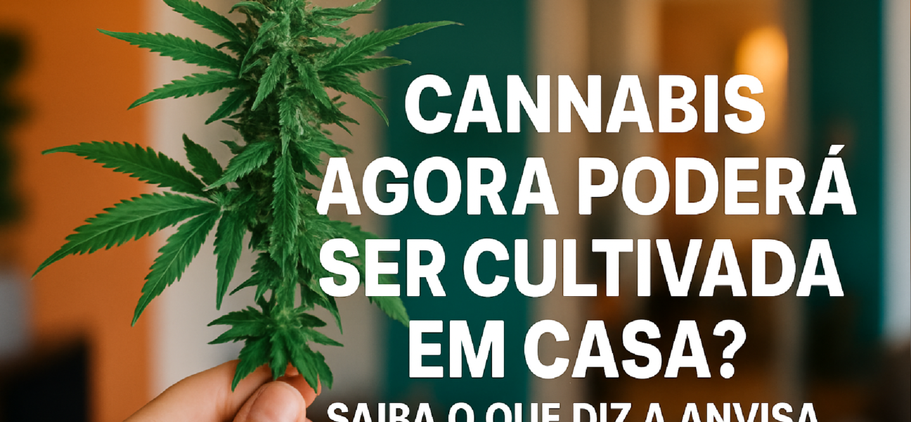 Imagem ilustrativa sobre Cannabis agora poderá ser cultivada em casa? Saiba o que diz a Anvisa
