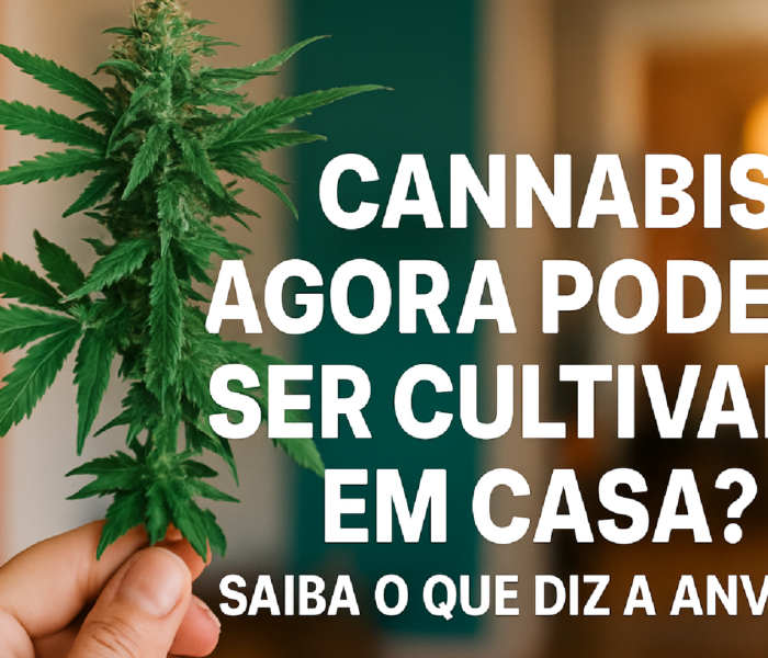 Imagem ilustrativa sobre Cannabis agora poderá ser cultivada em casa? Saiba o que diz a Anvisa