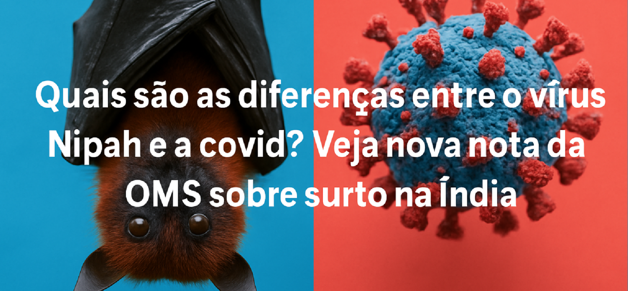 Imagem ilustrativa sobre Quais são as diferenças entre o vírus Nipah e a covid? Veja nova nota da OMS sobre surto na Índia