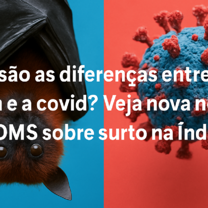 Imagem ilustrativa sobre Quais são as diferenças entre o vírus Nipah e a covid? Veja nova nota da OMS sobre surto na Índia
