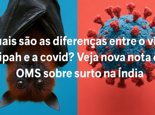 Imagem ilustrativa sobre Quais são as diferenças entre o vírus Nipah e a covid? Veja nova nota da OMS sobre surto na Índia
