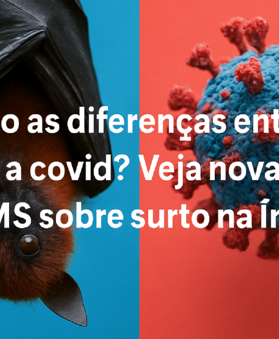 Imagem ilustrativa sobre Quais são as diferenças entre o vírus Nipah e a covid? Veja nova nota da OMS sobre surto na Índia