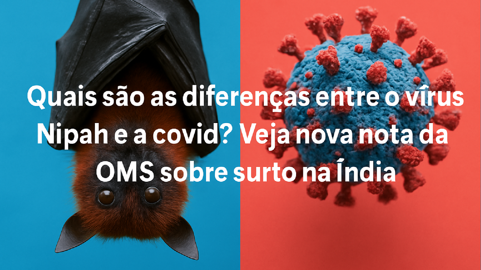 Imagem ilustrativa sobre Quais são as diferenças entre o vírus Nipah e a covid? Veja nova nota da OMS sobre surto na Índia